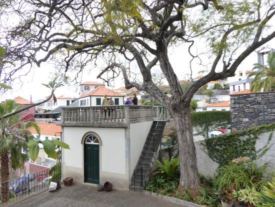 Chocolate no Jardim Joo